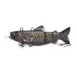 crap fish mount